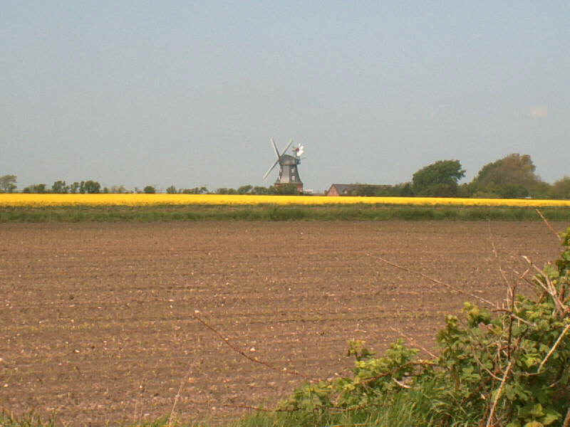 M&uuml;hle Borgsum.JPG (62080 Byte)